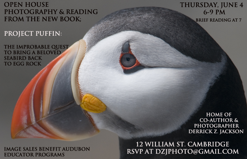 Project-Puffin-Event-June-4